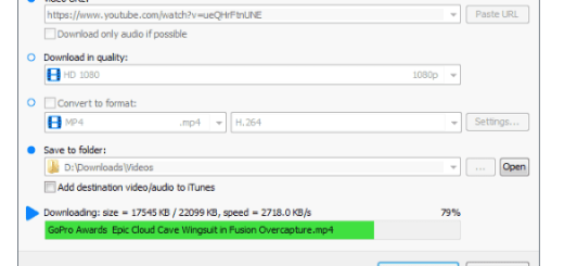 Robin YouTube Video Downloader Pro v7.0.6 (x64)