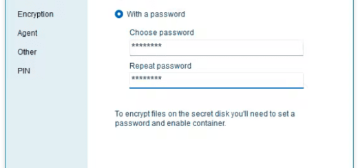 Secret Disk Professional 2025 v316 (x64) Multilingual
