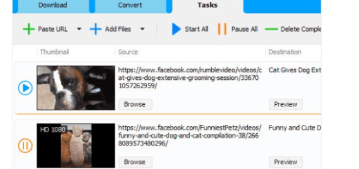 Social Media Downloader v8.0.5 (x64)