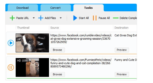 Social Media Downloader v8.0.5 (x64)
