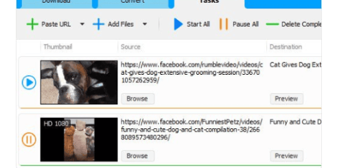 Social Media Downloader v8.0.5 (x64)