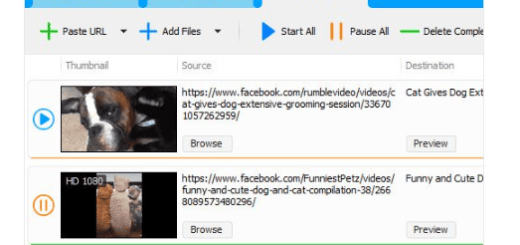 Social Media Downloader v8.0.6 (x64)