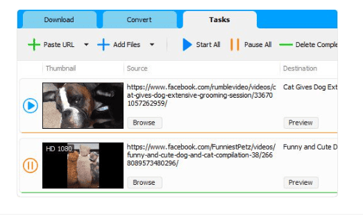 Social Media Downloader v8.0.6 (x64)