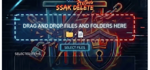 Ssak SsakDelete Strong v1.0 (x64)