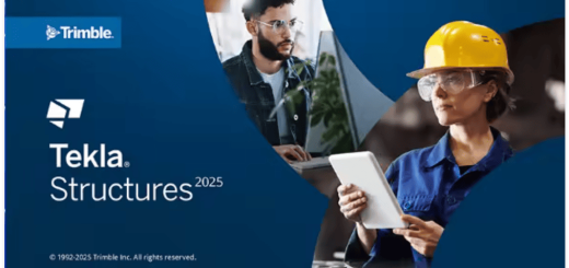 Tekla Structures v2025 SP6 (x64) Multilingual