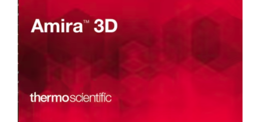 ThermoSientific AMIRA AVIZO 3D 2025.v1.1