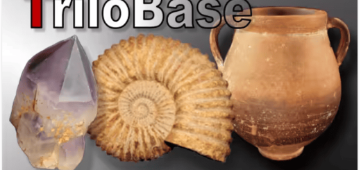 TriloBase v8.8.3 Multilingual