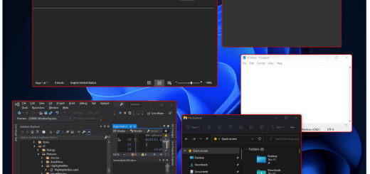 WindowTop Pro v5.29.1 Multilingual