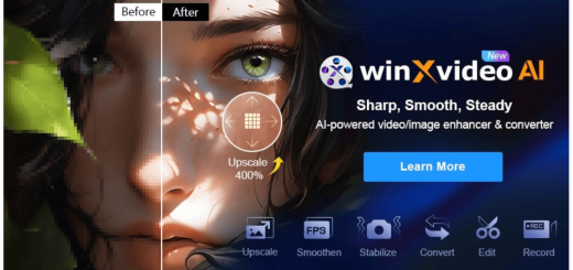 Winxvideo AI v4.6 Multilingual