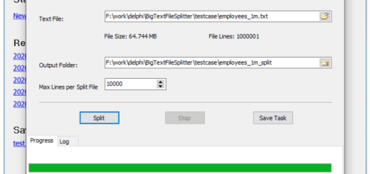 Withdata BigTextFileSplitter v4.2.1 (x64)