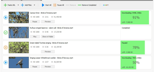 YT Video Downloader v12.0.15 (x64)
