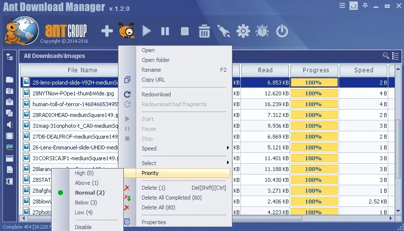 Ant Download Manager Pro