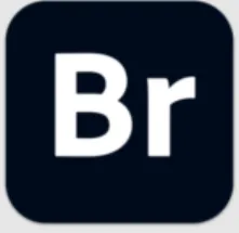 Adobe Bridge 2026