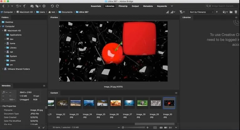 Adobe Bridge 2026