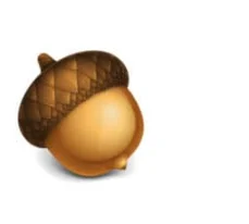 Acorn 8.3.3 portable for macOS