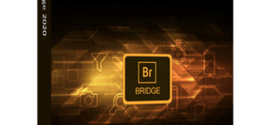 Adobe Bridge 2025 v15.1.4 (x64) Multilingual