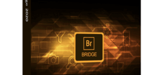 Adobe Bridge 2025 v15.1.4 (x64) Multilingual