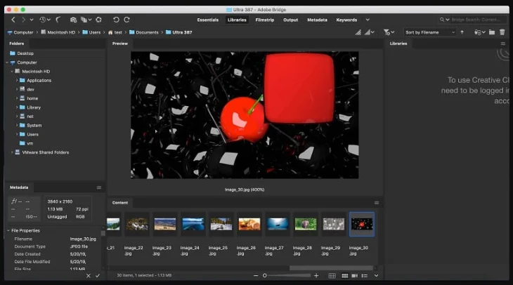 Adobe Bridge 2026 v16.0.1 portable for macOS 1