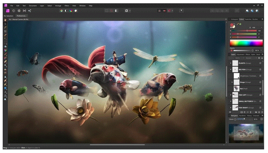 Affinity Designer 2.6.5 portable for macOS