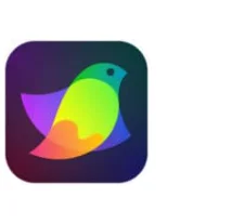 Amadine 1.6.7 portable for macOS