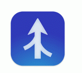 Araxis Merge Pro 2025.1 portable for macOS