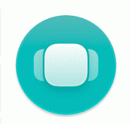 Copied 4.0.1 portable for macOS