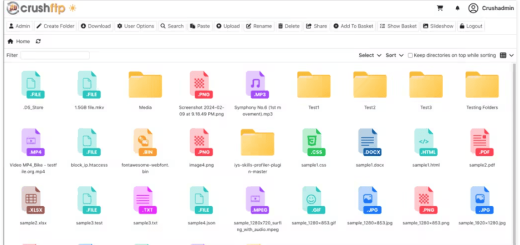CrushFTP 11.3.7.74 MultiOS Portable + Repack for window