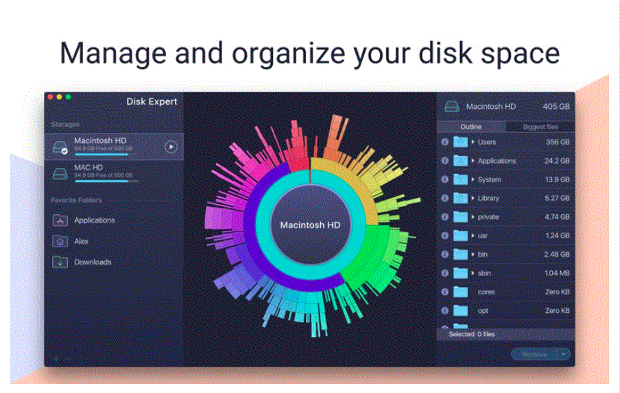 Disk Expert Pro 4.2 Portable for macOS