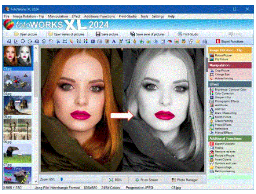 FotoWorks XL 2026 26.0.1 Multilingual