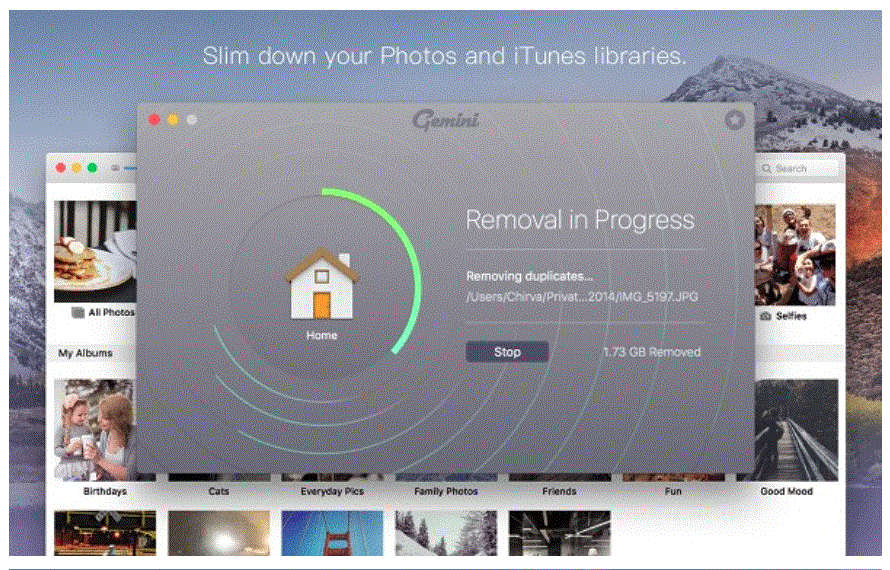 Gemini 2.9.11 Portable for macOS