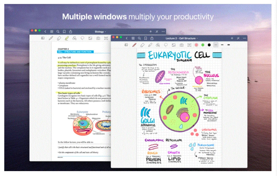 GoodNotes 5.9.8 portable for macOS