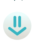 InstaBro 5.4.1Portable for macOS logo