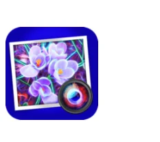 JixiPix Spektrel Art 1.1.20 portable for macOS