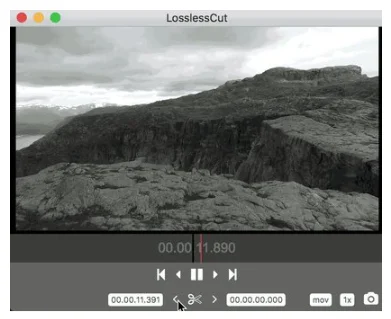 LosslessCut 3.68.0