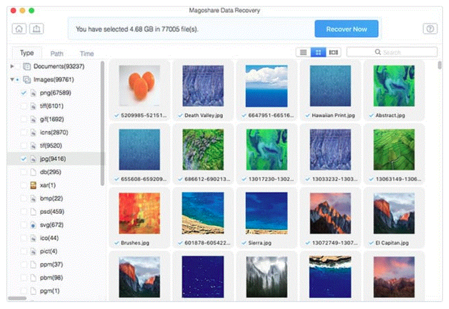 Magoshare Data Recovery 4.5 portable for macOS
