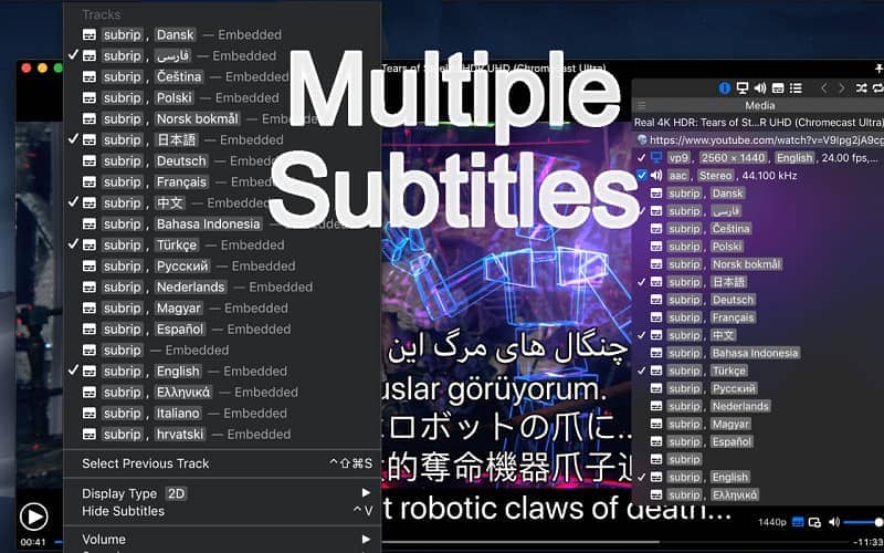 Movist Pro 2.13.1 Portable for macOS 1
