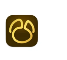 Navicat Premium 17.3.4 portable for macOS
