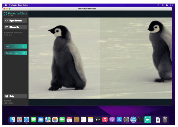 Perfectly Clear Video 4.6.1.2701 Portable for macOS