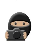 PictureCode Photo Ninja 1.4.0d portable for macOS