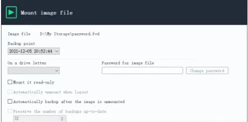 QILING Safe Disk Standard Server 3.1 Build 20260106