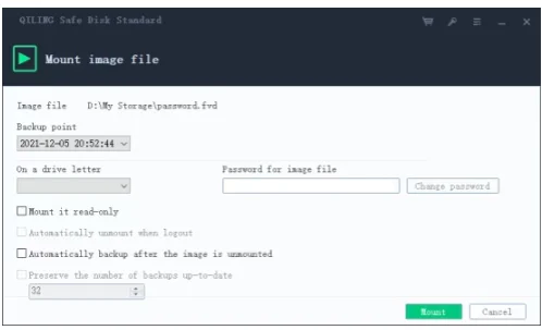 QILING Safe Disk Standard Server 3.1 Build 20260106