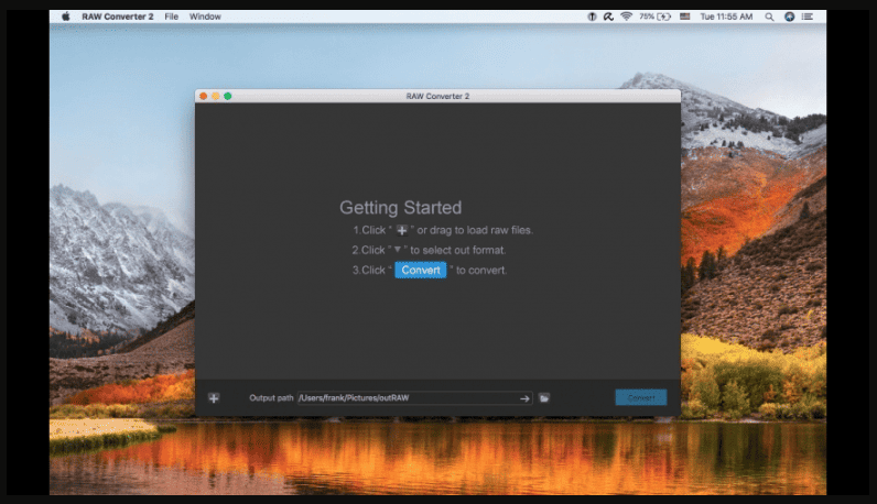 RAW Converter Ultimate 3.1.1 portable for macOS