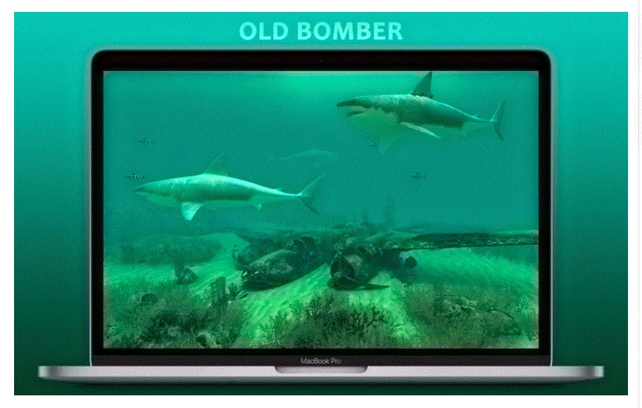Sharks 3D 2.1.1 portable for macOS