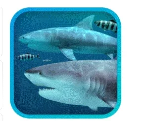 Sharks 3D 2.1.1 portable for macOS