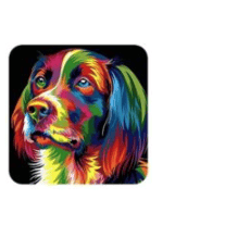 Splash n Recolor 4.3 MAS Portable for macOS logo