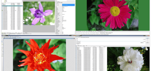 WildBit Viewer 6.19 Commercial Portable + Repack for window
