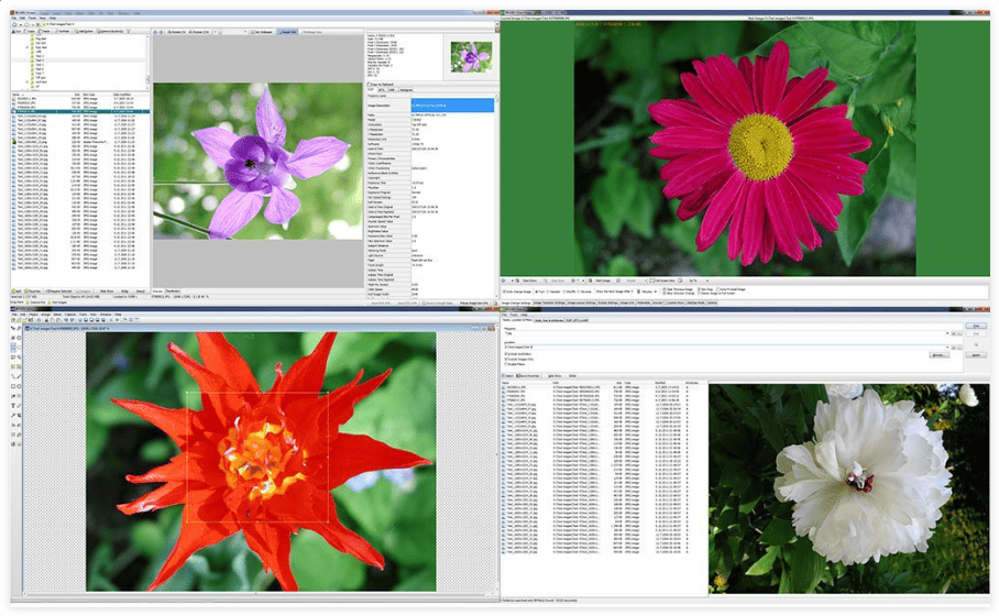 WildBit Viewer 6.19 Commercial Portable + Repack for window
