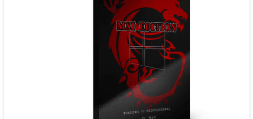 Windows 11 Pro 25H2 Build 26200.7462 MSI Edition Portable + Repack for window