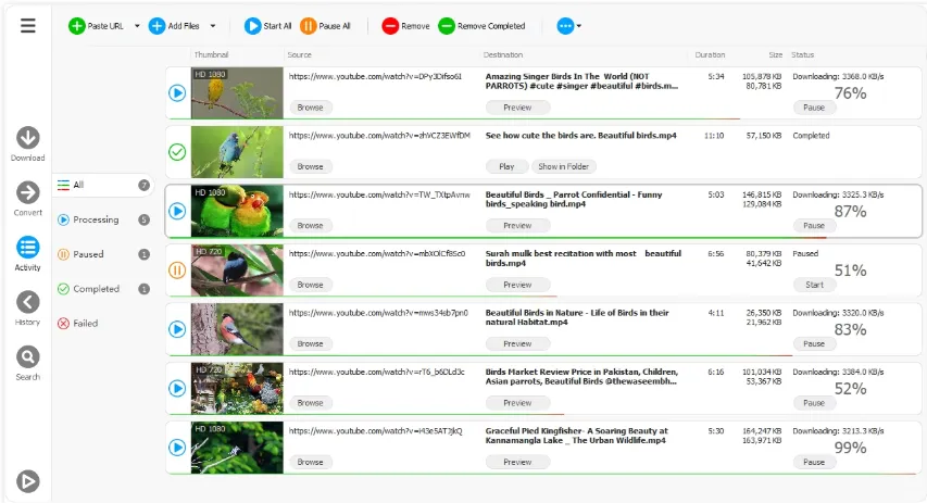 Any Video Downloader Pro