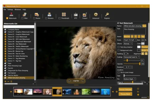 iWatermark Pro 2 v4.0.35